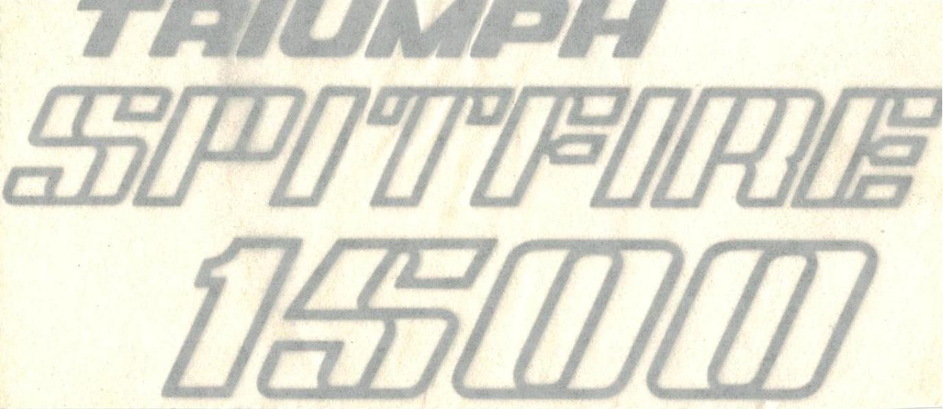 ETICHETTA ADESIVA BAGAGLIAIO ARGENTO