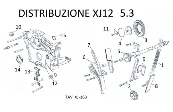 CATENA DISTRIBUZIONE XJ12 SERIE 2