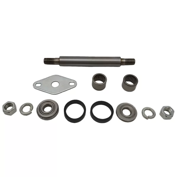 kit revisione braccio oscillante anteriore Mini Innocenti Austin e Rover