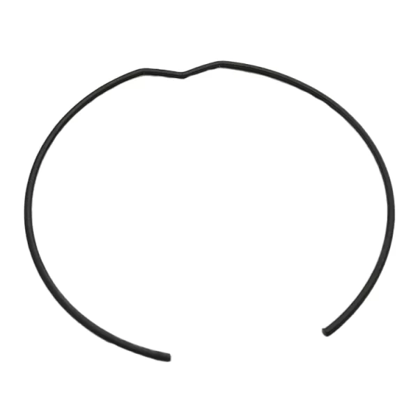 anello di bloccaggio albero a camme Jaguar