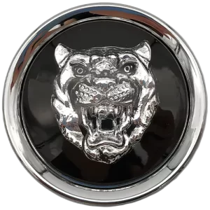 marchio ruota jaguar