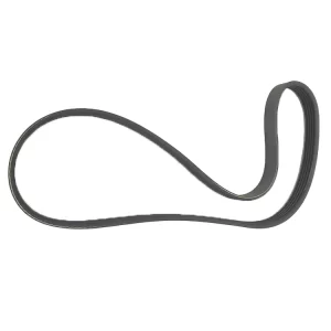 cinghia alternatore Jaguar XJS 6.0 V12