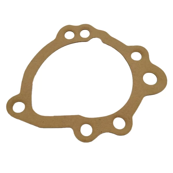 guarnizione pompa acqua MGB 3 supporti