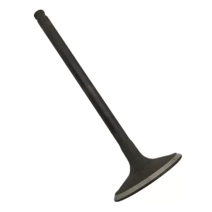 valvola aspirazione Jaguar S-type 3.0 V6